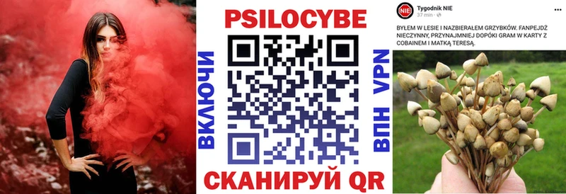 Купить где  Лакинск  Галлюциногенные грибы Cubensis 